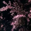 anama_kala_bighater