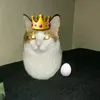 toikobtjhet281