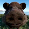mel0mah_