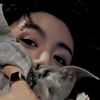 jungkook.fangirl49