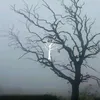 kuv_kov