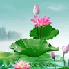 hip.nguyn6710