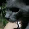 kpbbygf