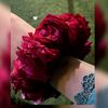ghanna_sultan123
