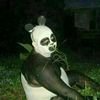 tukiyee.m