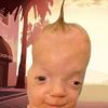 harrison.davis1