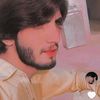 malik.hasnain3178