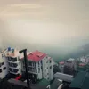 shibaaa_11