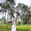 only_one_zila