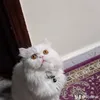 sosshar