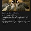 yan.aung.myo7