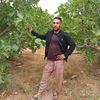 hafidmurad