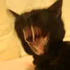 gigaiobka3000