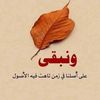 user9490084414959