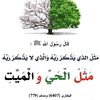 user8345417522375