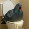 gooningpigeon3