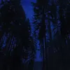 lll00ss33rrr