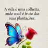 rabelo_2001
