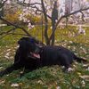 user18081731914227