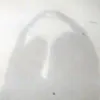 _chrysaugi11_