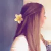 .amym