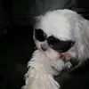 ziiofz