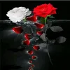 dr.hadil2