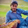 toryalai.ziarmal
