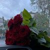 latif_0x