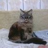silvia.boboc59