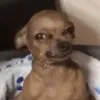lumi_male
