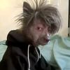 anada_loser
