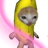 its.keisya.imup