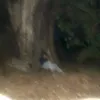 andreamstr