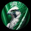 ksa__________top1