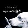 nayzawoo05198724