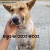 waiyanhein0077