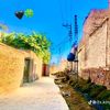 hamzaa5224