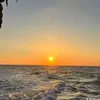 trang.kieu11