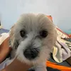 xavigravy7