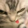 lxz_myblhde