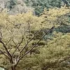 takahashidai