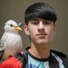 atiqullah.osmani7