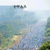 bilan595