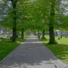 erik.larsson8