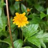 khinohn.myint8