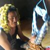 apiunggun887