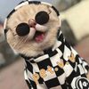 pet.v.v