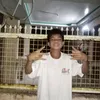 abegailhibe8
