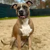rudi01702
